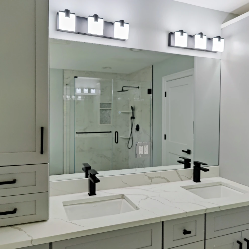 Frameless Shower Door